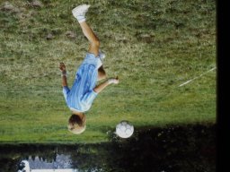 0DIA 1988 RAVAKAMP
